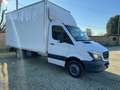 Mercedes-Benz Sprinter T43/35 414 CDI Cabinato Executive Bianco - thumbnail 2