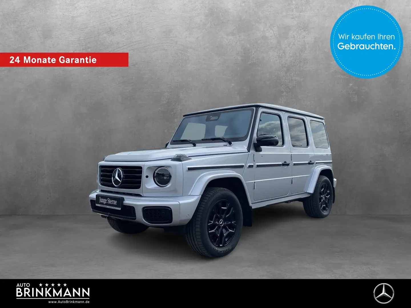 Mercedes-Benz G 450 G 450 d Professional SHD/STANDHZG/AHK Select Klima Silber - 1