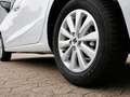 SEAT Ibiza Road Edition 1.0 TSI-7-Gang-DSG Weiß - thumbnail 5