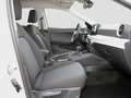 SEAT Ibiza Road Edition 1.0 TSI-7-Gang-DSG Weiß - thumbnail 8