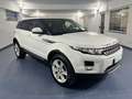 Land Rover Range Rover Evoque Range Rover Evoque 2.2 td4 150cv Blanco - thumbnail 3