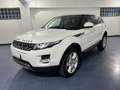 Land Rover Range Rover Evoque Range Rover Evoque 2.2 td4 150cv Bianco - thumbnail 1