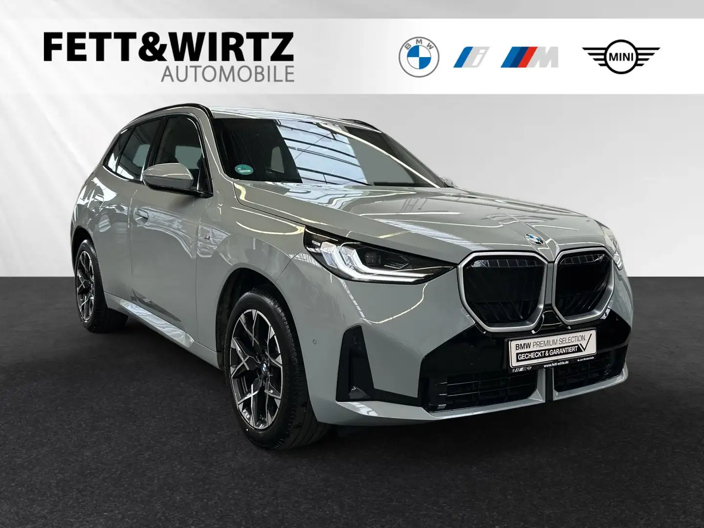 BMW X3 20d xDrive *Brooklyn*|M Sport|AHK|DA&PA Grau - 1