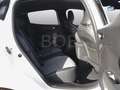 Renault Clio Techno TCe 90 - 202 € / Monat im Leasing Weiß - thumbnail 5