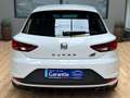 SEAT Leon SC Cupra 290/1Hand/ACC/Kamera/Scheckheft Wit - thumbnail 5
