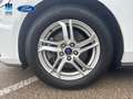 Ford Focus Sportbreak 1.0 Ecoboost Titanium Blanco - thumbnail 6