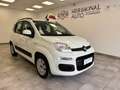 Fiat Panda 1.2 easypower Lounge Gpl 69cv Bianco - thumbnail 1