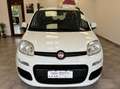 Fiat Panda 1.2 easypower Lounge Gpl 69cv Bianco - thumbnail 2
