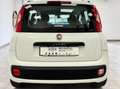 Fiat Panda 1.2 easypower Lounge Gpl 69cv Bianco - thumbnail 5