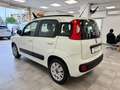 Fiat Panda 1.2 easypower Lounge Gpl 69cv Bianco - thumbnail 6