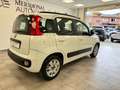 Fiat Panda 1.2 easypower Lounge Gpl 69cv Bianco - thumbnail 4
