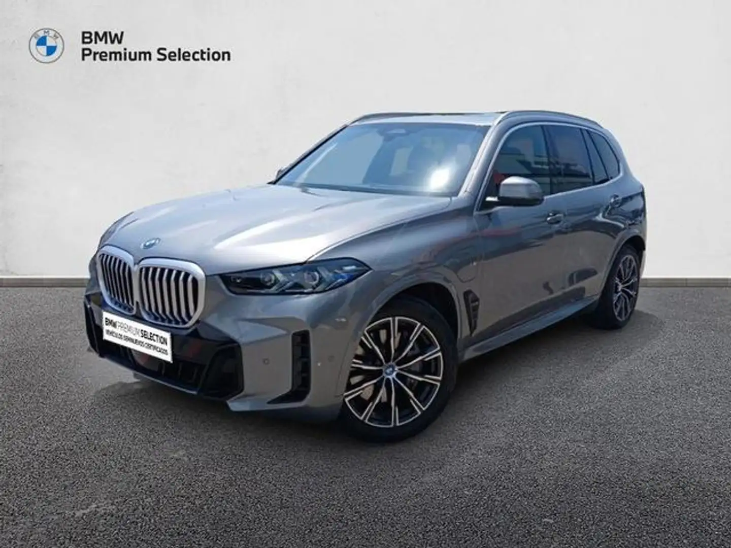BMW X5 xDrive 50e xLine Gris - 1
