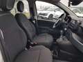 Fiat Panda Panda 1.0 firefly hybrid s&s 70cv Weiß - thumbnail 22