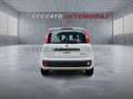 Fiat Panda Panda 1.0 firefly hybrid s&s 70cv Weiß - thumbnail 5