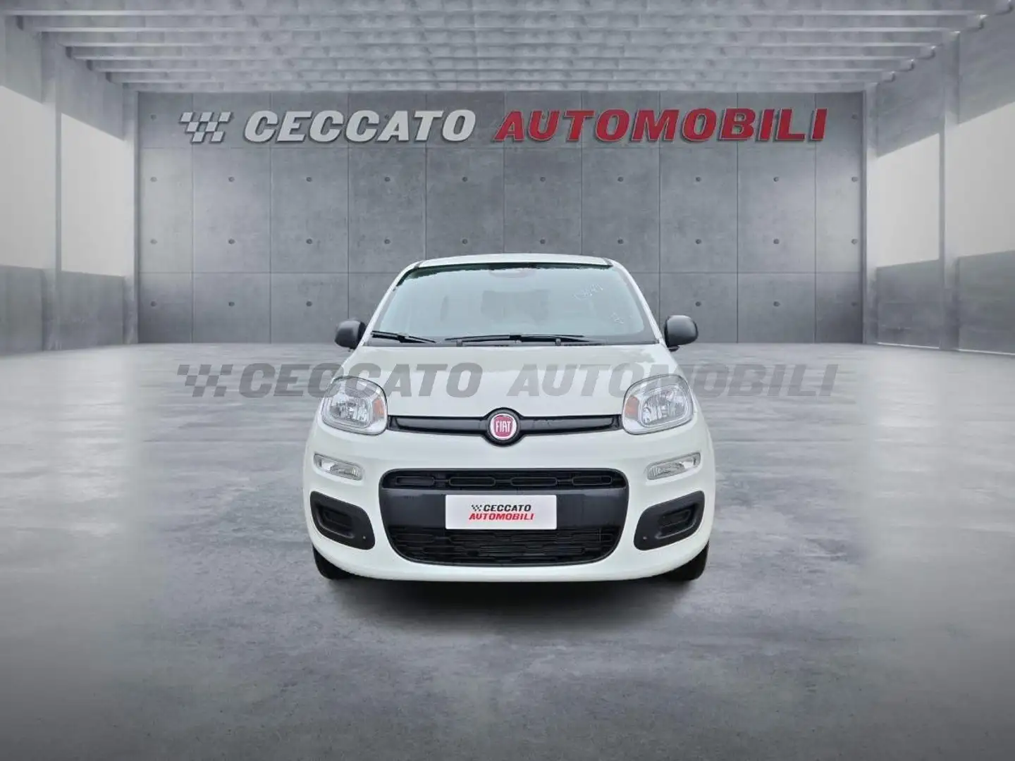 Fiat Panda Panda 1.0 firefly hybrid s&s 70cv Weiß - 2