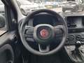 Fiat Panda Panda 1.0 firefly hybrid s&s 70cv Weiß - thumbnail 13