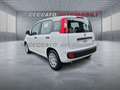 Fiat Panda Panda 1.0 firefly hybrid s&s 70cv Weiß - thumbnail 6