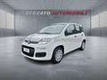 Fiat Panda Panda 1.0 firefly hybrid s&s 70cv Weiß - thumbnail 1