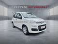 Fiat Panda Panda 1.0 firefly hybrid s&s 70cv Weiß - thumbnail 3