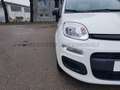 Fiat Panda Panda 1.0 firefly hybrid s&s 70cv Weiß - thumbnail 7