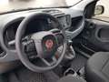 Fiat Panda Panda 1.0 firefly hybrid s&s 70cv Weiß - thumbnail 10