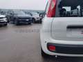 Fiat Panda Panda 1.0 firefly hybrid s&s 70cv Weiß - thumbnail 9