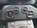 Fiat Panda Panda 1.0 firefly hybrid s&s 70cv Weiß - thumbnail 16