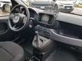 Fiat Panda Panda 1.0 firefly hybrid s&s 70cv Weiß - thumbnail 21