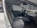 Renault ZOE EVOLUTION EV50 110hp UPE:34.000,- Inkl.Batterie Weiß - thumbnail 8