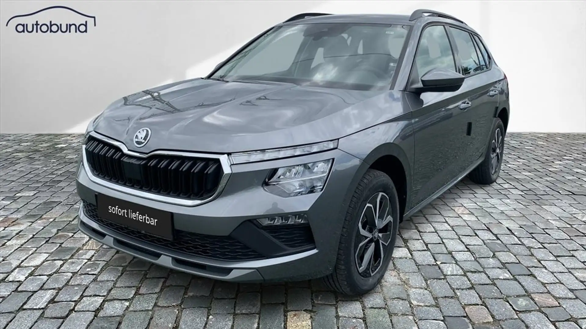 Skoda Kamiq 1,0 TSI Alu  DAB LED Kamera Sitzheizung Gris - 1