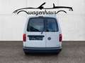 Volkswagen Caddy Conceptline TSI, NAVI, Sitzheizung, PDC Blanco - thumbnail 5
