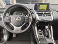 Lexus NX 300h 2.5 Business 2WD Noir - thumbnail 7