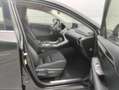 Lexus NX 300h 2.5 Business 2WD Noir - thumbnail 9