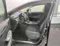 Lexus NX 300h 2.5 Business 2WD Noir - thumbnail 8