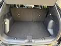 Ford Kuga 2.5 243pk PHEV Titanium Navi, Winter pack, Camera, Noir - thumbnail 30