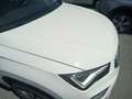 SEAT Ateca 2.0TDI CR S&S Style 116 Blanco - thumbnail 23