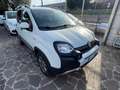 Fiat Panda Panda 1.3 mjt 16v 4x4 CROSS NEOPATENTATI GARANZIA Blanc - thumbnail 2