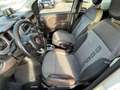 Fiat Panda Panda 1.3 mjt 16v 4x4 CROSS NEOPATENTATI GARANZIA Blanc - thumbnail 10