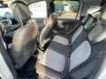 Fiat Panda Panda 1.3 mjt 16v 4x4 CROSS NEOPATENTATI GARANZIA Blanc - thumbnail 12