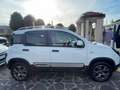 Fiat Panda Panda 1.3 mjt 16v 4x4 CROSS NEOPATENTATI GARANZIA Blanc - thumbnail 7