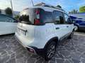 Fiat Panda Panda 1.3 mjt 16v 4x4 CROSS NEOPATENTATI GARANZIA Blanc - thumbnail 4