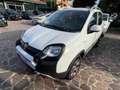 Fiat Panda Panda 1.3 mjt 16v 4x4 CROSS NEOPATENTATI GARANZIA Blanc - thumbnail 1
