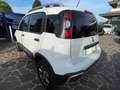 Fiat Panda Panda 1.3 mjt 16v 4x4 CROSS NEOPATENTATI GARANZIA Blanc - thumbnail 6