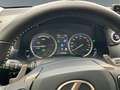 Lexus NX 300 300h Executive Navigation 4WD Šedá - thumbnail 9