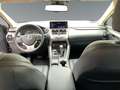 Lexus NX 300 300h Executive Navigation 4WD Šedá - thumbnail 7