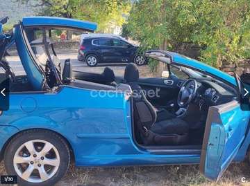 307 CC 1.6