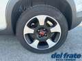 Fiat Panda Cross III 1.0 70Cv Mild Hybrid Cross Plus 4x2 Blanc - thumbnail 18