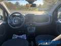 Fiat Panda Cross III 1.0 70Cv Mild Hybrid Cross Plus 4x2 Blanc - thumbnail 11