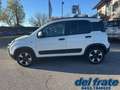 Fiat Panda Cross III 1.0 70Cv Mild Hybrid Cross Plus 4x2 Blanc - thumbnail 2