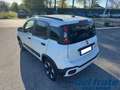 Fiat Panda Cross III 1.0 70Cv Mild Hybrid Cross Plus 4x2 Blanc - thumbnail 3